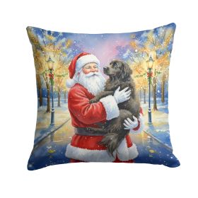 Newfoundland with Santa Claus Throw Pillow Decorative Indoor Outdoor Accent Cushion for Couch, Bed or Patio, 14Hx14W