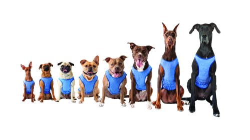 GF Pet Elasto-Fit Ice Vest - Blue (size: S)